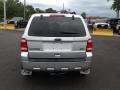 Ingot Silver Metallic - Escape XLT V6 Photo No. 30
