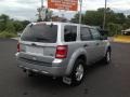 Ingot Silver Metallic - Escape XLT V6 Photo No. 31