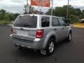 2010 Ingot Silver Metallic Ford Escape XLT V6  photo #31