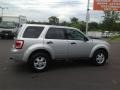Ingot Silver Metallic - Escape XLT V6 Photo No. 32