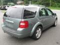 2006 Titanium Green Metallic Ford Freestyle Limited AWD  photo #7