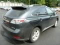 2010 Smokey Granite Mica Lexus RX 350 AWD  photo #11