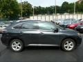 2010 Smokey Granite Mica Lexus RX 350 AWD  photo #12