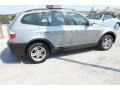 Silver Gray Metallic - X3 3.0i Photo No. 11
