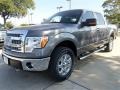 Sterling Gray Metallic - F150 XLT SuperCrew 4x4 Photo No. 1