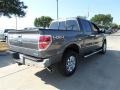 Sterling Gray Metallic - F150 XLT SuperCrew 4x4 Photo No. 5