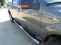 Sterling Gray Metallic - F150 XLT SuperCrew 4x4 Photo No. 9