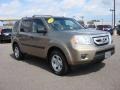 2010 Mocha Metallic Honda Pilot LX  photo #10