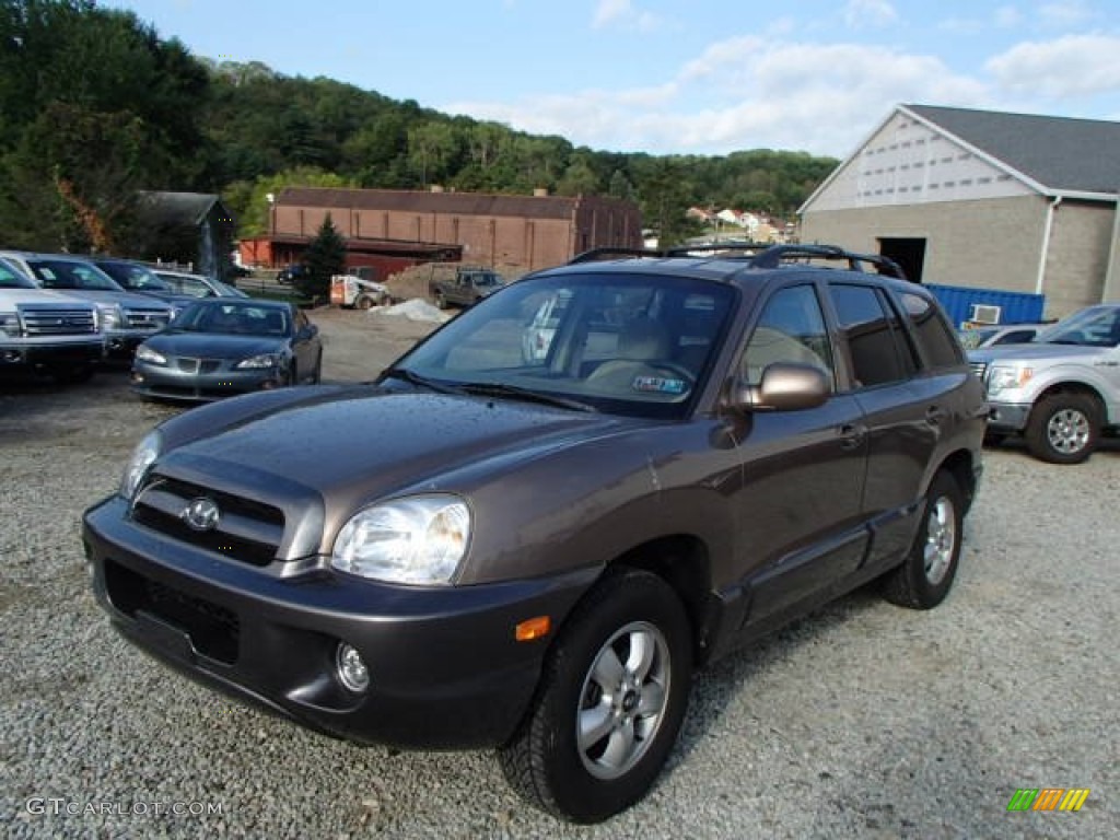 2005 Santa Fe GLS 4WD - Mocha Frost Beige / Beige photo #1