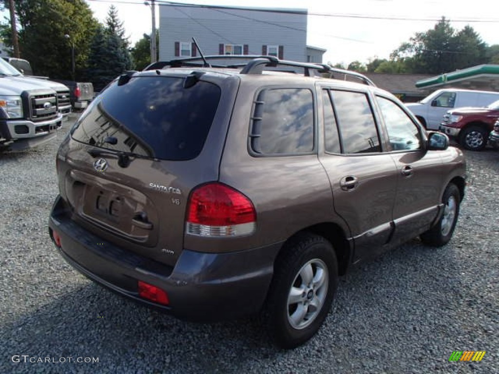 2005 Santa Fe GLS 4WD - Mocha Frost Beige / Beige photo #4