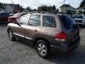 2005 Mocha Frost Beige Hyundai Santa Fe GLS 4WD  photo #6
