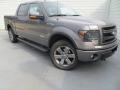 2013 Sterling Gray Metallic Ford F150 FX4 SuperCrew 4x4  photo #2