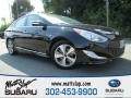 Black Onyx Pearl - Sonata Hybrid Photo No. 1