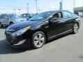 Black Onyx Pearl - Sonata Hybrid Photo No. 2