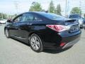 Black Onyx Pearl - Sonata Hybrid Photo No. 8