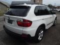 Alpine White - X5 xDrive30i Photo No. 3