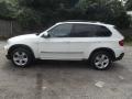 Alpine White - X5 xDrive30i Photo No. 6