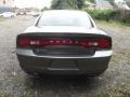 Tungsten Metallic - Charger SE Photo No. 5
