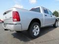 Bright Silver Metallic - 1500 Express Crew Cab 4x4 Photo No. 3