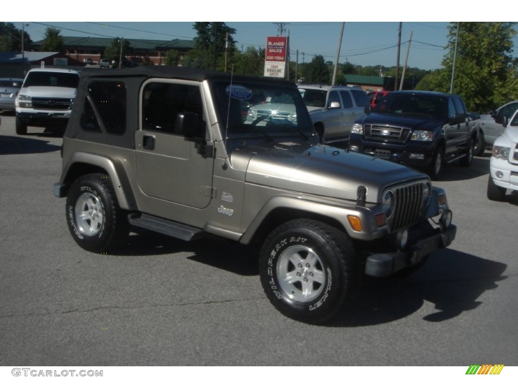 2004 Wrangler Sahara 4x4 - Light Khaki Metallic / Khaki photo #1