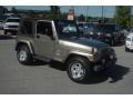 Light Khaki Metallic 2004 Jeep Wrangler Sahara 4x4