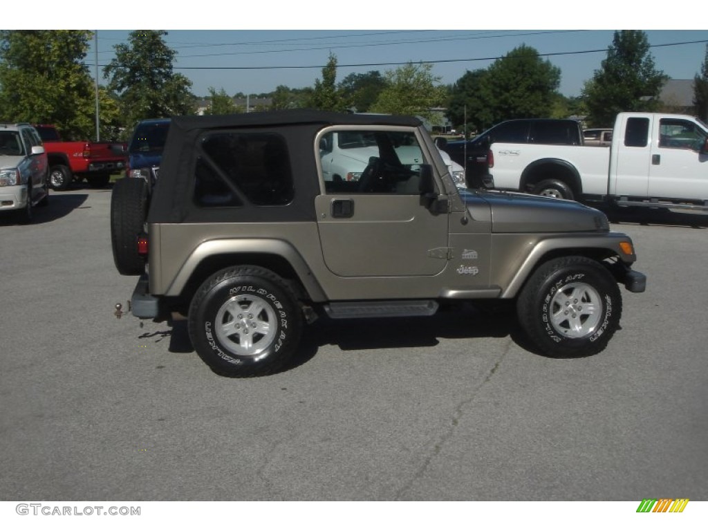 2004 Wrangler Sahara 4x4 - Light Khaki Metallic / Khaki photo #2