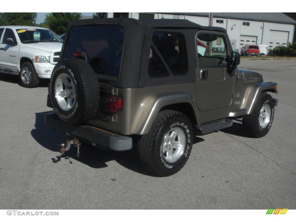 2004 Wrangler Sahara 4x4 - Light Khaki Metallic / Khaki photo #3