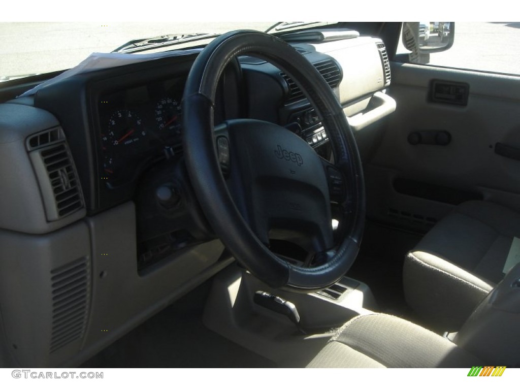 2004 Wrangler Sahara 4x4 - Light Khaki Metallic / Khaki photo #6