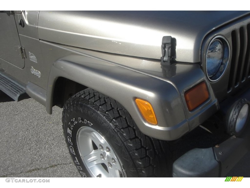 2004 Wrangler Sahara 4x4 - Light Khaki Metallic / Khaki photo #8