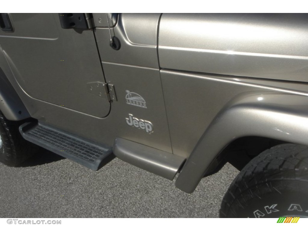 2004 Wrangler Sahara 4x4 - Light Khaki Metallic / Khaki photo #11