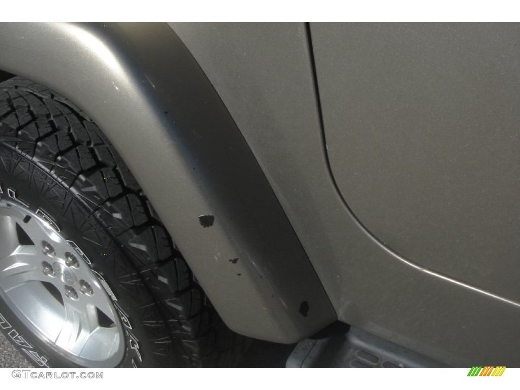 2004 Wrangler Sahara 4x4 - Light Khaki Metallic / Khaki photo #13