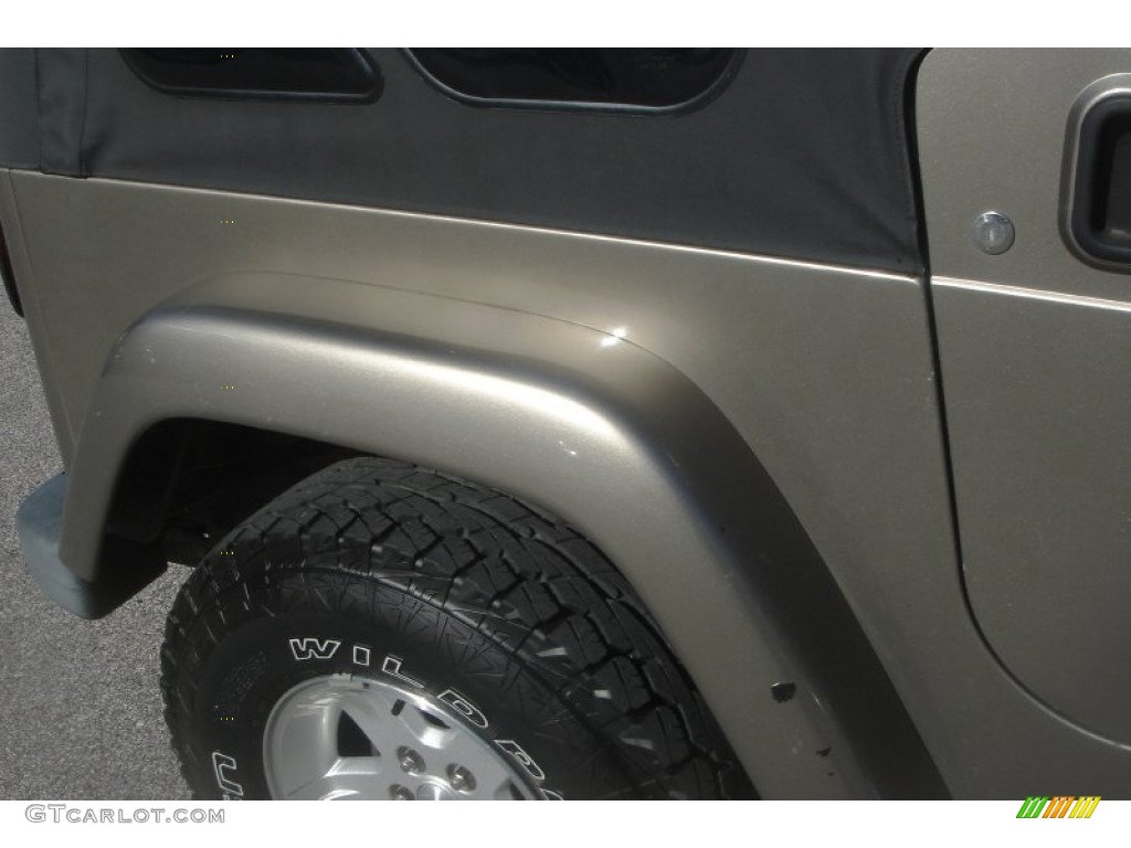 2004 Wrangler Sahara 4x4 - Light Khaki Metallic / Khaki photo #14