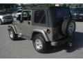 Light Khaki Metallic - Wrangler Sahara 4x4 Photo No. 23