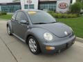 Platinum Grey Metallic - New Beetle GL TDI Coupe Photo No. 1