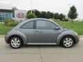 Platinum Grey Metallic - New Beetle GL TDI Coupe Photo No. 2