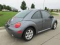 Platinum Grey Metallic - New Beetle GL TDI Coupe Photo No. 3