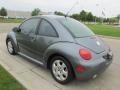 Platinum Grey Metallic - New Beetle GL TDI Coupe Photo No. 5