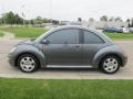 Platinum Grey Metallic - New Beetle GL TDI Coupe Photo No. 6