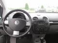 Platinum Grey Metallic - New Beetle GL TDI Coupe Photo No. 11