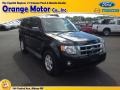 Black 2008 Ford Escape XLT V6 4WD