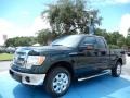 2013 Green Gem Metallic Ford F150 XLT SuperCab  photo #1