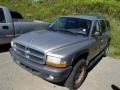 2002 Light Pewter Metallic Dodge Durango Sport 4x4  photo #3