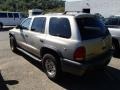 2002 Light Pewter Metallic Dodge Durango Sport 4x4  photo #4