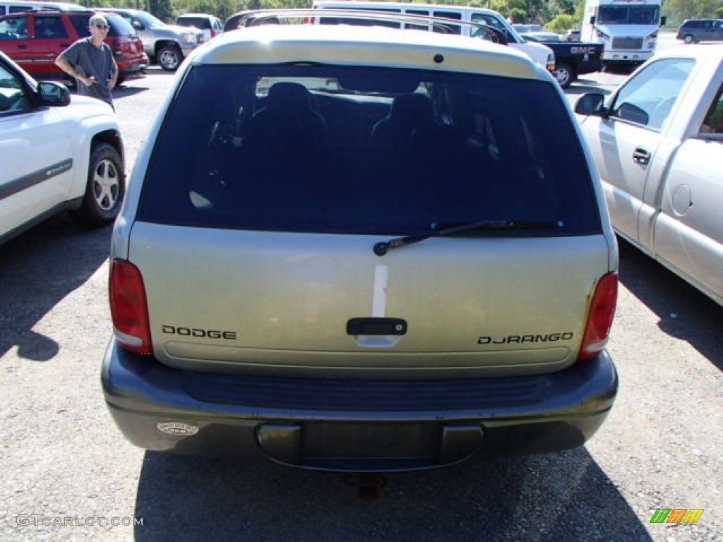2002 Durango Sport 4x4 - Light Pewter Metallic / Dark Slate Gray photo #5