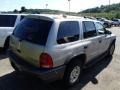 Light Pewter Metallic - Durango Sport 4x4 Photo No. 6