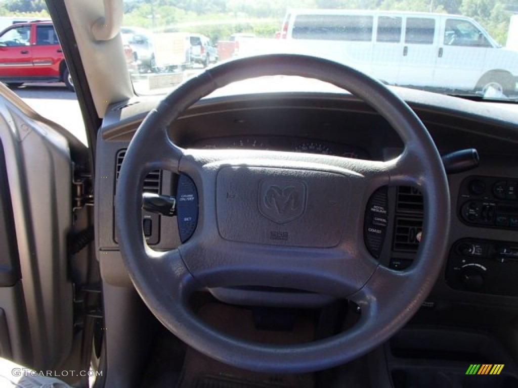 2002 Durango Sport 4x4 - Light Pewter Metallic / Dark Slate Gray photo #13