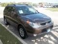 Sahara Bronze - Veracruz GLS Photo No. 7