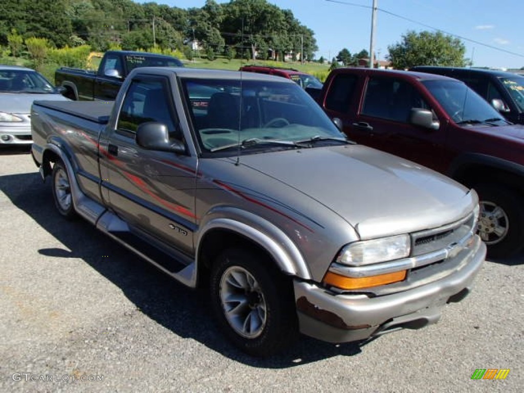 1998 S10 LS Regular Cab - Pewter Metallic / Graphite photo #1