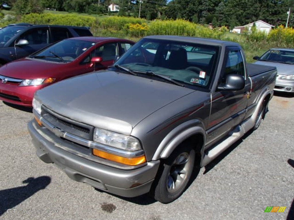 1998 S10 LS Regular Cab - Pewter Metallic / Graphite photo #3