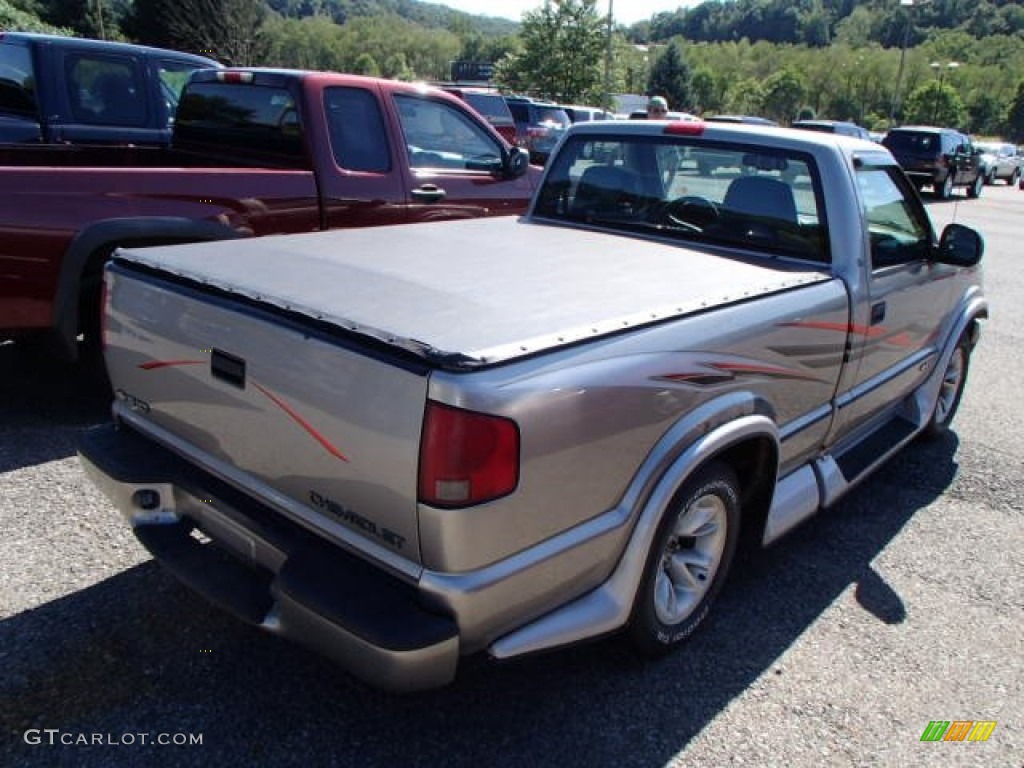1998 S10 LS Regular Cab - Pewter Metallic / Graphite photo #6